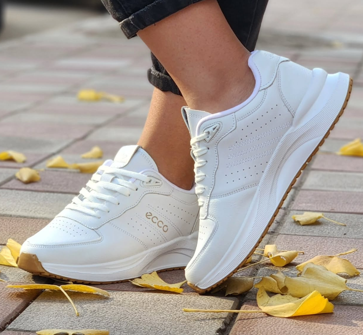 کتانی اکو مردانه 